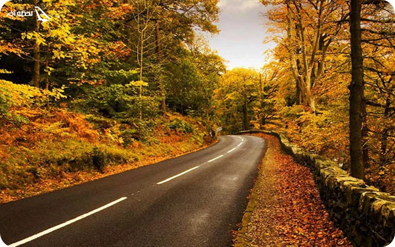 مسیر های دسترسی به جنگل لفور چگونه به جنگل لفور برویم؛ سفری بهیاد ماندنی